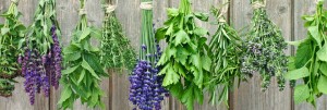 cropped-Fotolia_45079440_M-2.jpg