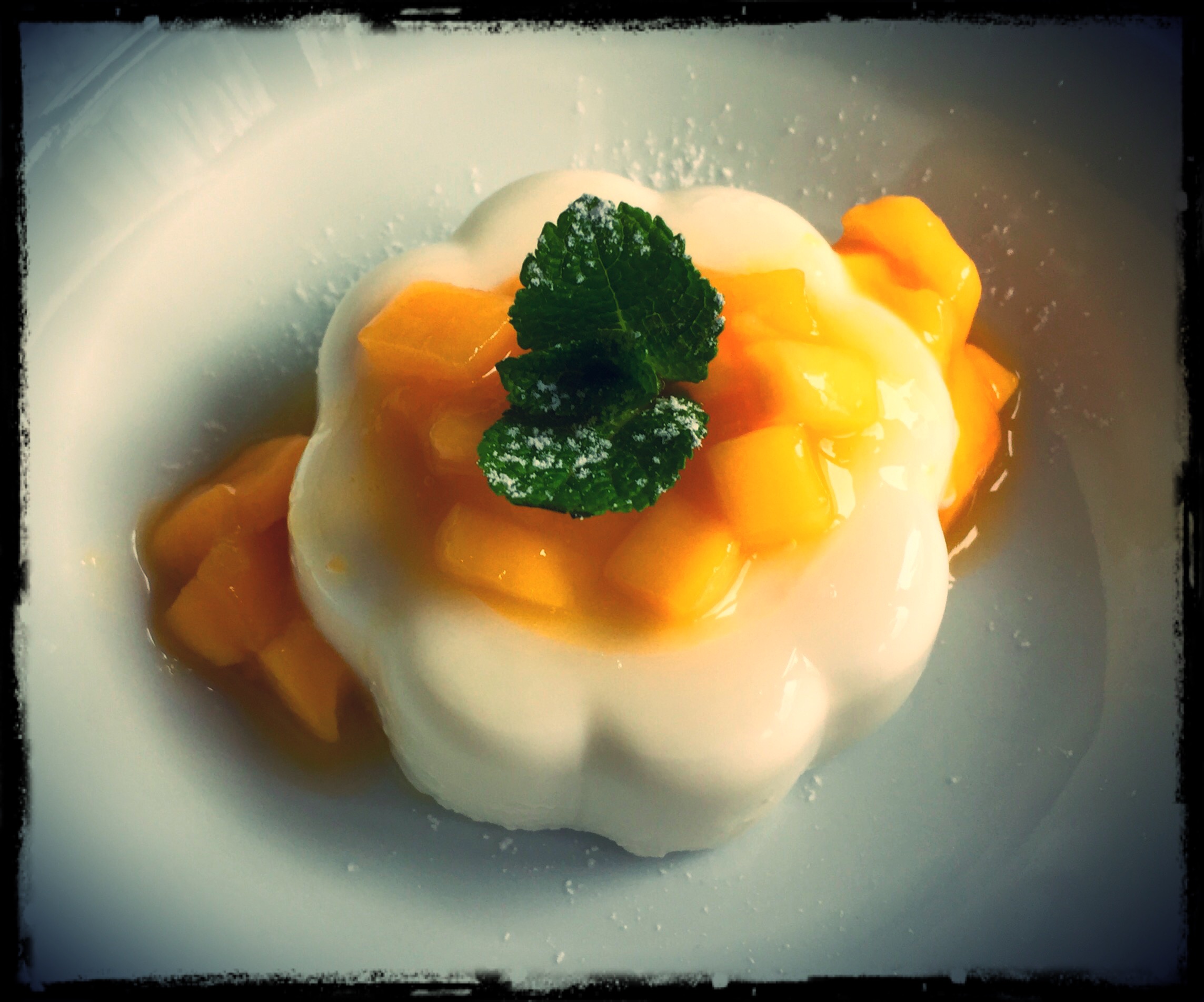 Kokos-Panna-Cotta mit Mango | deliciously.ch