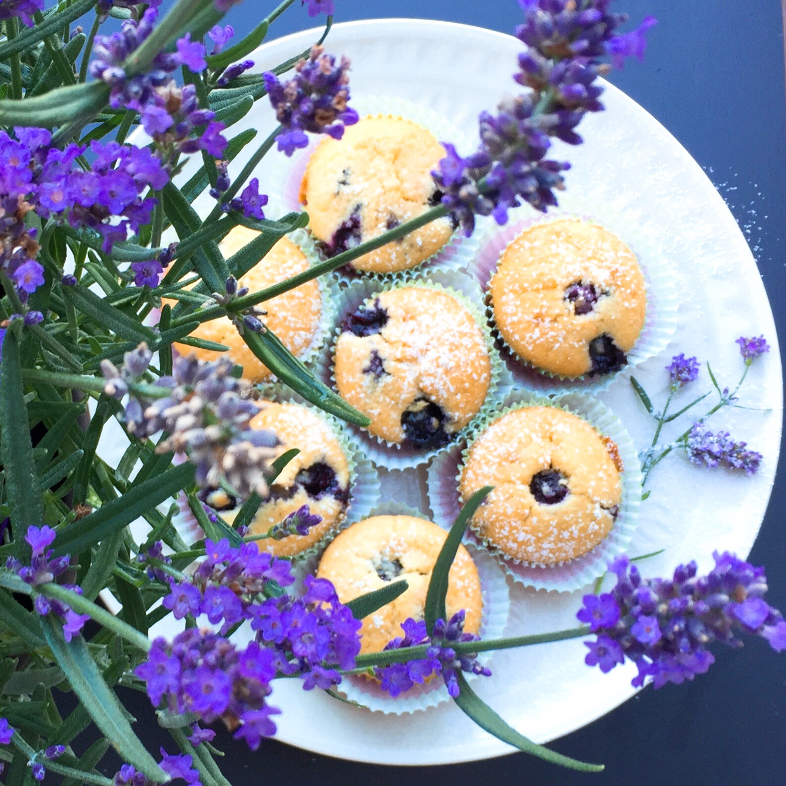 Heidelbeer-Lavendel-Muffins | deliciously.ch